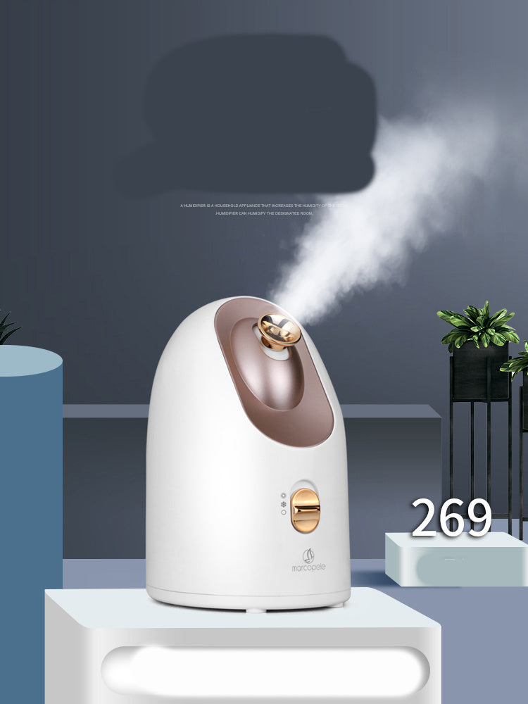 Hot and cold Face Steamer