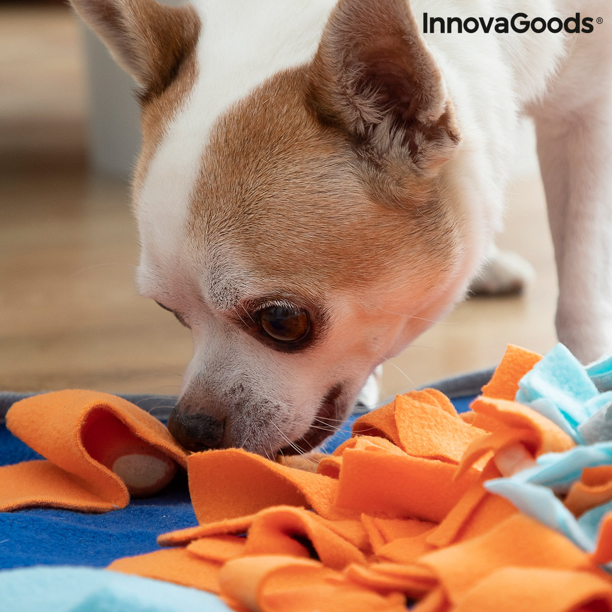 Sniffing Mat for Pets