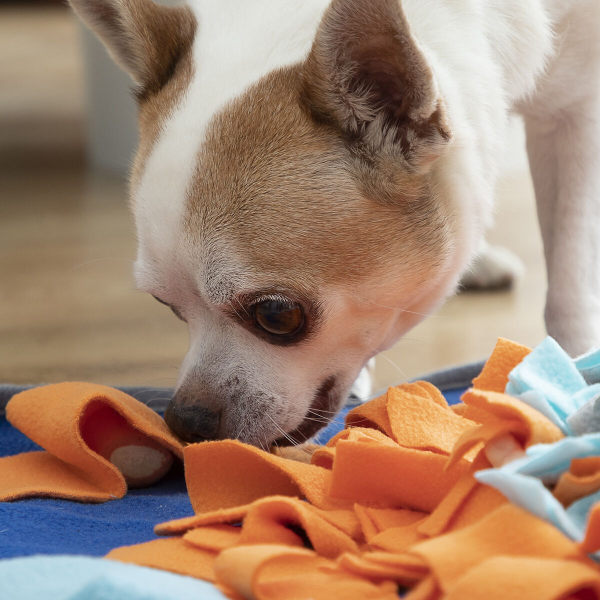 Sniffing Mat for Pets