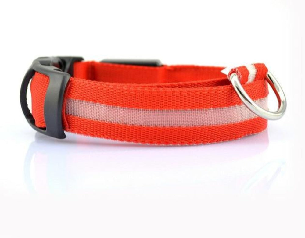 Nylon LED Dog Collar