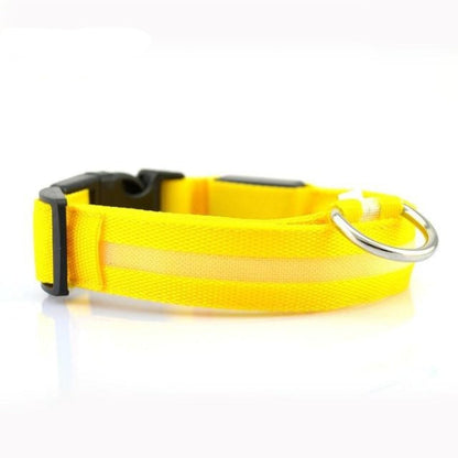 Nylon LED Dog Collar