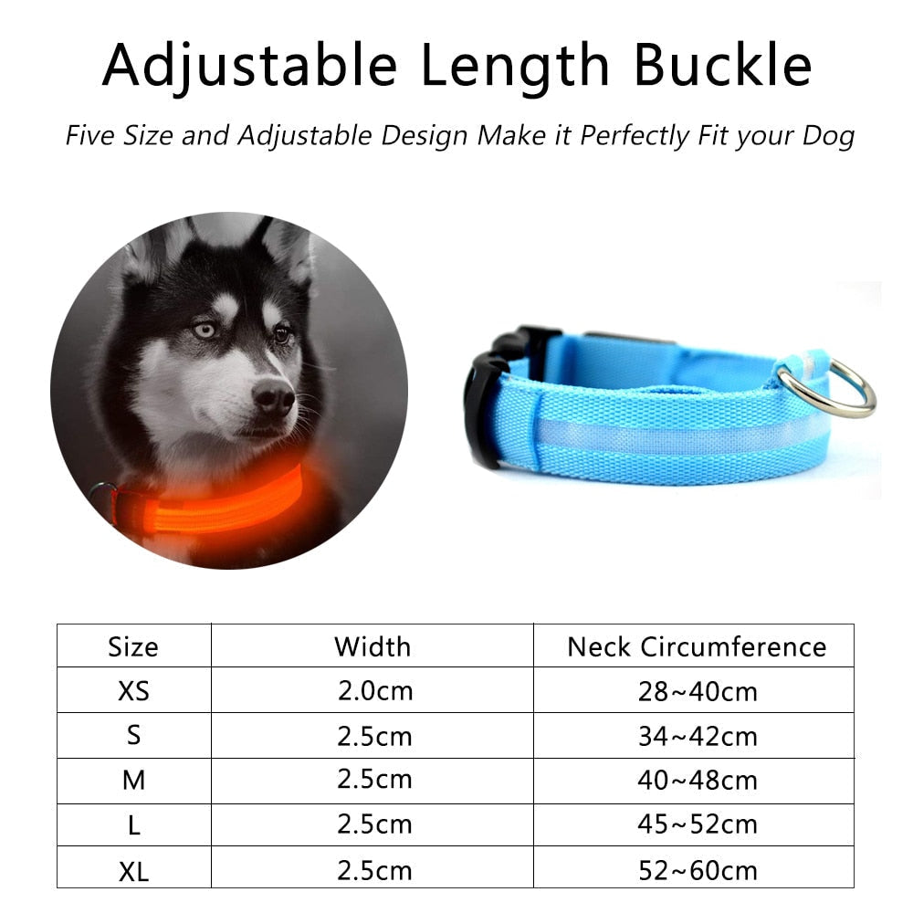 Nylon LED Dog Collar